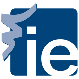 IE Business School (IE 商学院) 管理学与大数据
