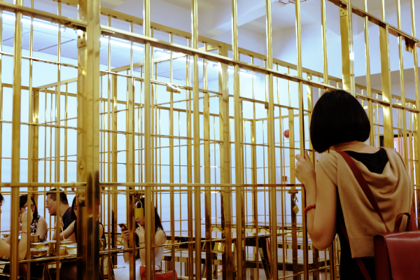 "在笼子里足足坐了一个小时后,所有人终于重获自由了!