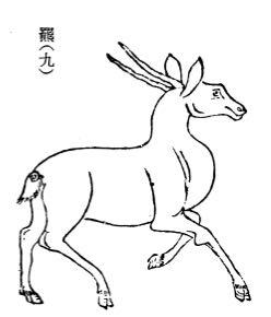 《山海经》里面的动物是真实的吗?