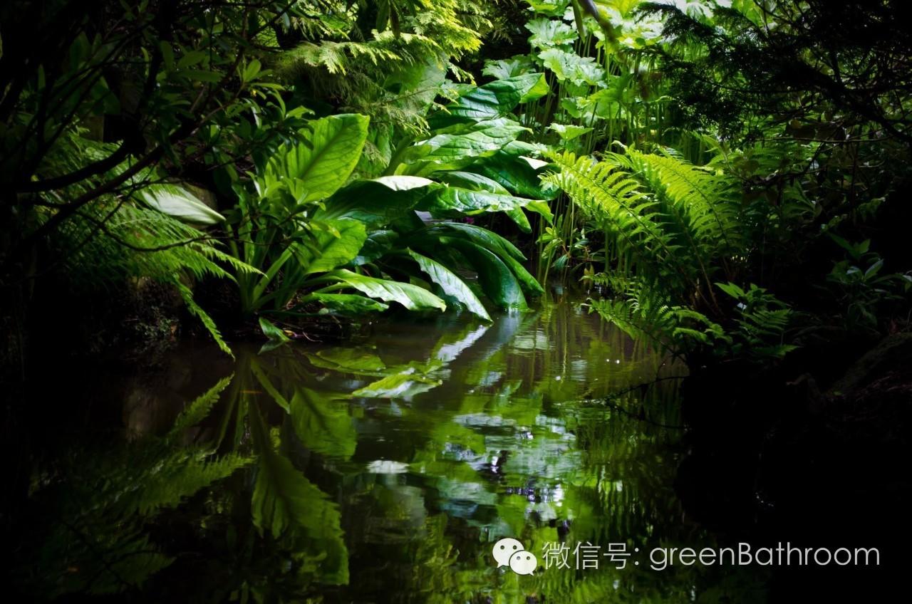 巴西丛林 zhuanlan.zhihu.com