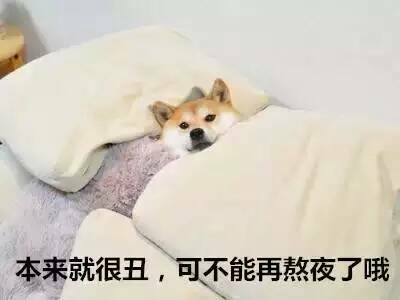 b80a992976de592d43bb2fed81f051ef_b.png