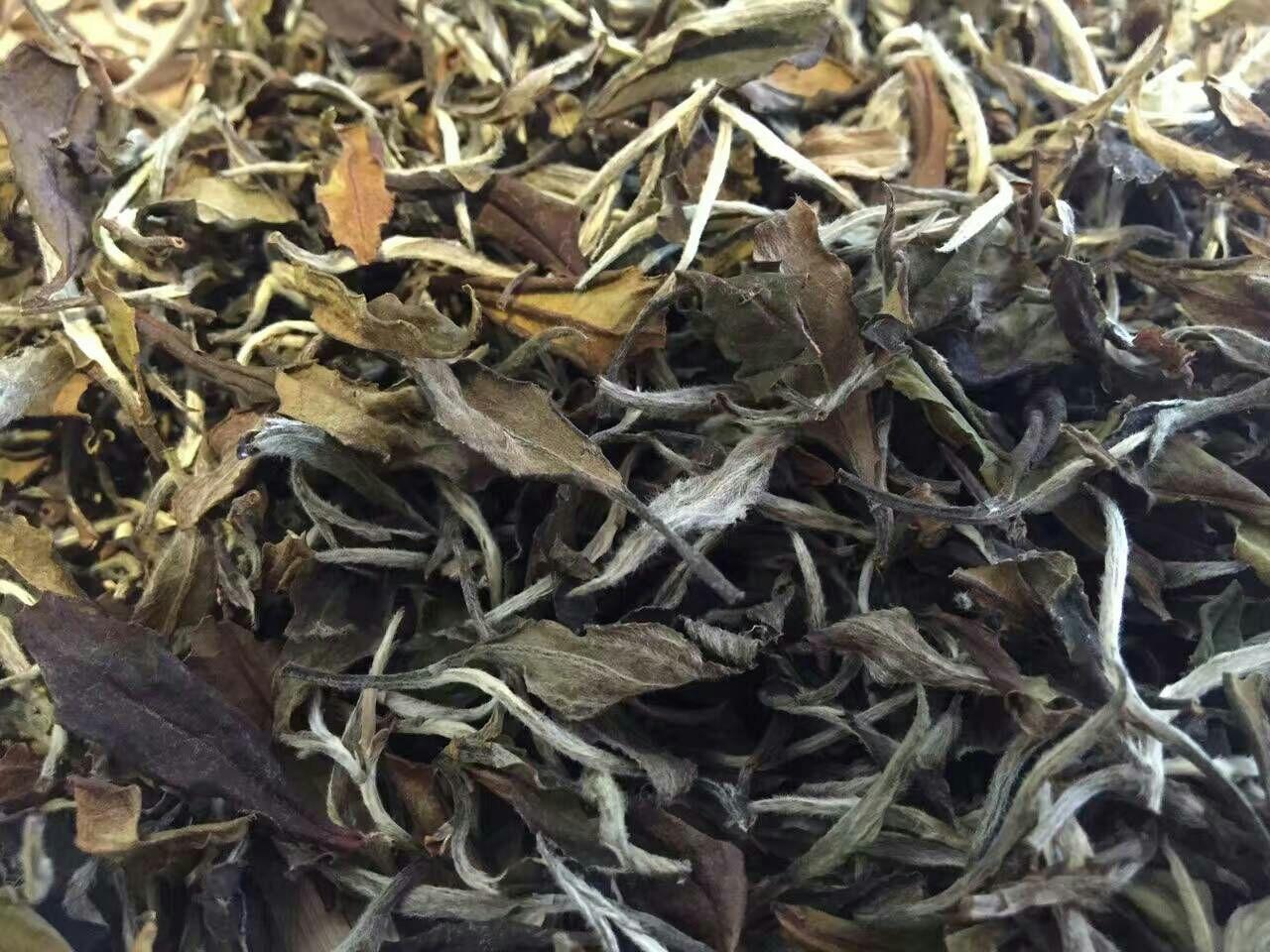 我有一个问题,关于福鼎白茶 - 知乎