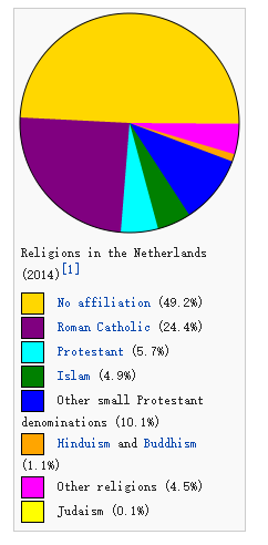 (阿姆斯特丹大学)的教授所言荷兰只是一个tolerating这些方面的国家