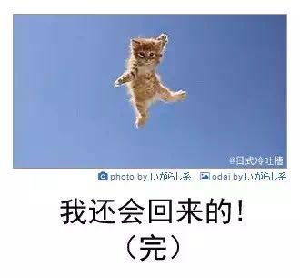 和P大数院男生谈恋爱是一种怎样的体验? - 知