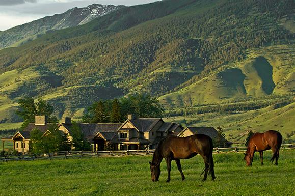 小翁live续买毕加索的神秘女子结局