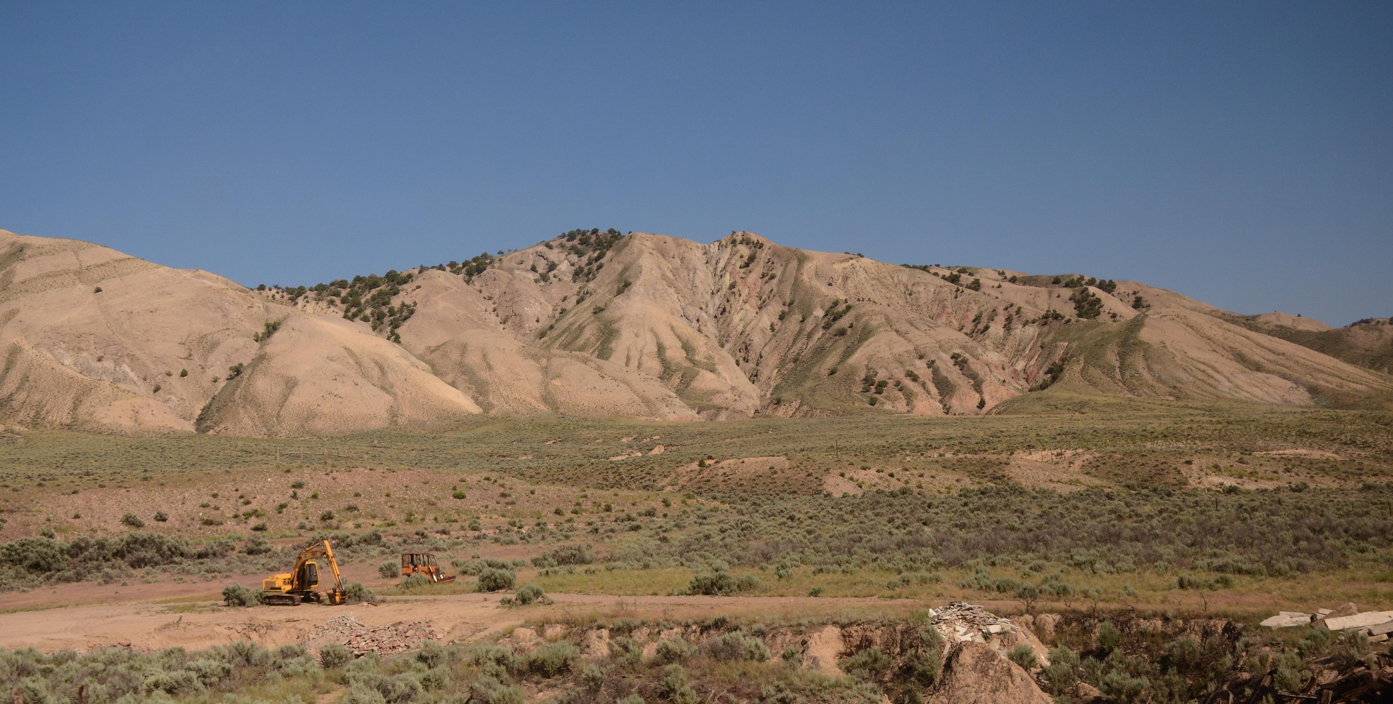 从东部到西部追踪欧文NBA直播每一刻感受巨星在激烈对抗中的冷静发挥