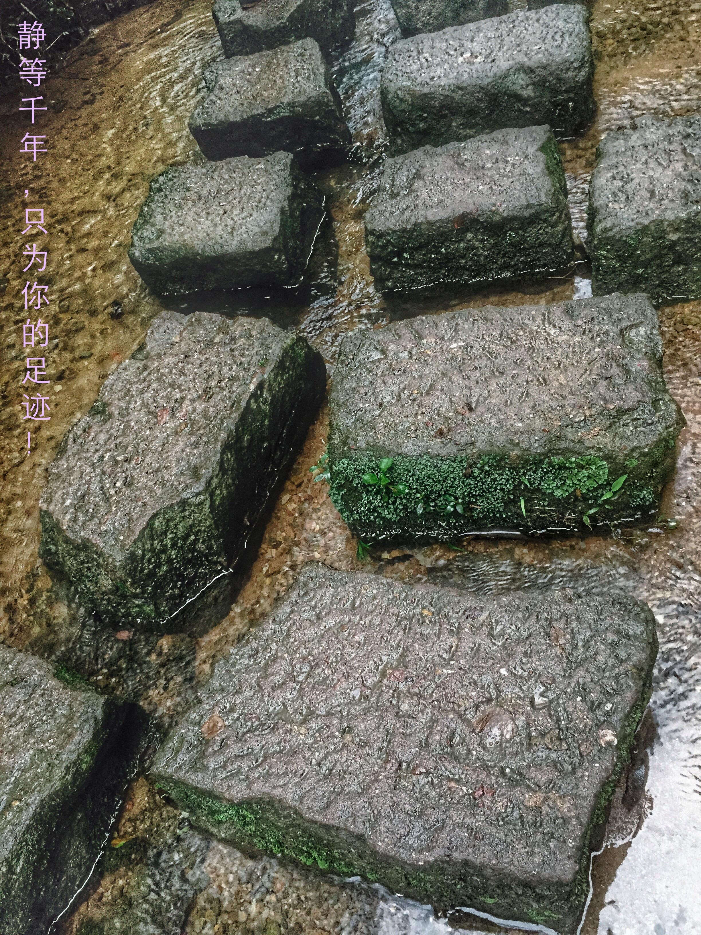 武夷山有什么好玩的? - 旅游 - 知乎