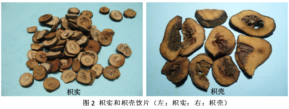 药用部位不同药效大不同 - 知乎