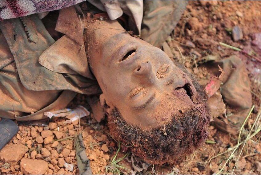 有哪些第一眼就感觉到震撼的图片? - 知乎