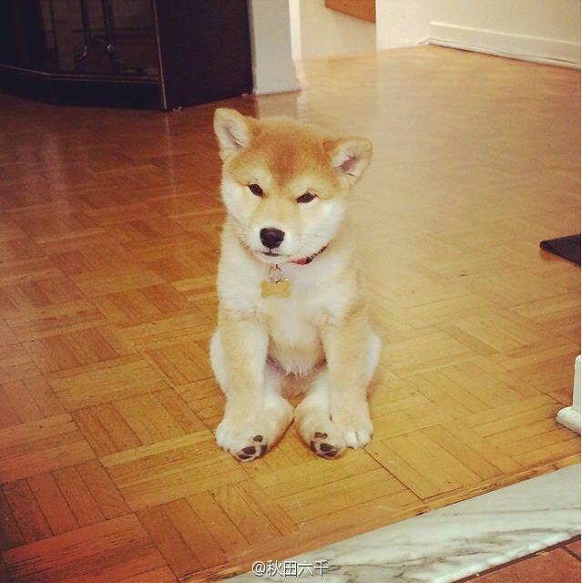 大部分女生能穿着高跟鞋逛街一天而不累是真的