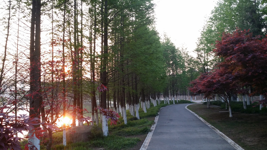 想要定居苏州工业园区,合适吗? - 苏州 - 知乎