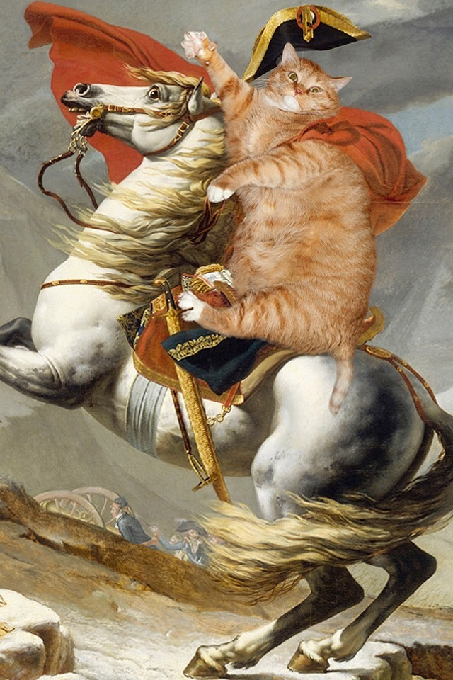 世界上有哪些喜欢猫的名人?