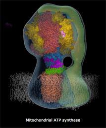 通俗的理解 2016 年诺贝尔化学奖「分子机器」