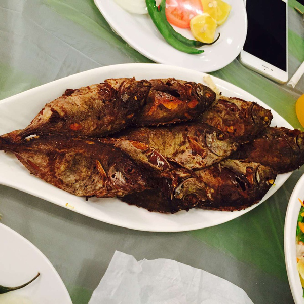 巴林旅游指南西风站中东小清新之旅