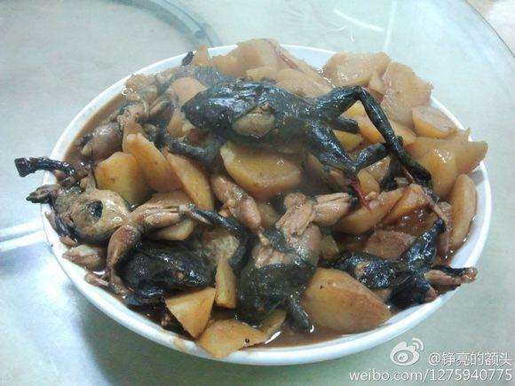 这东西才是东北菜中的蛤蟆.