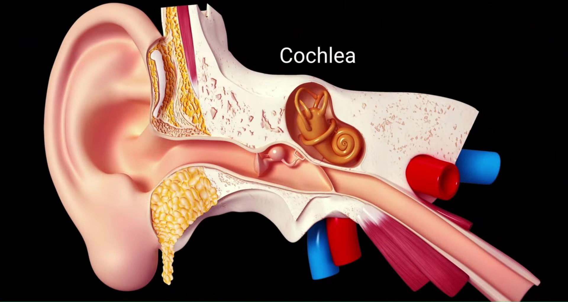 为什么VR游戏玩完后会头晕、恶心?