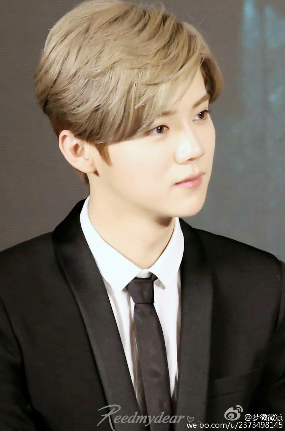 请用成语或一句话来形容鹿晗的长相? - 木木的