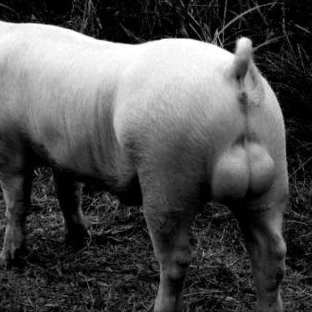 你觉得 『面由心生』这句话有道理吗? - 生活 -