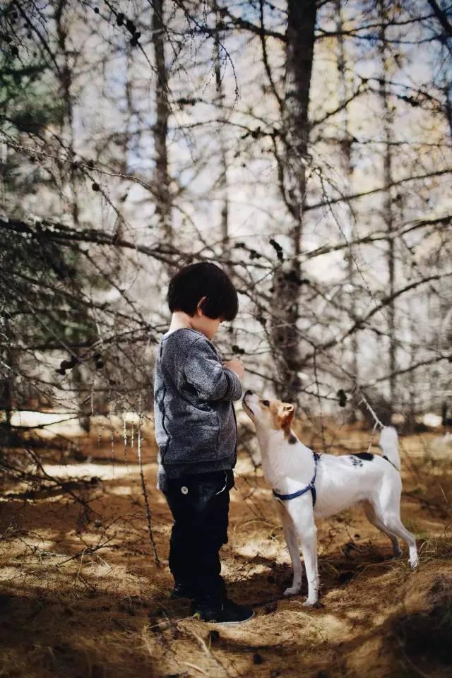 熊孩子都敢养,多个宠物算什么.