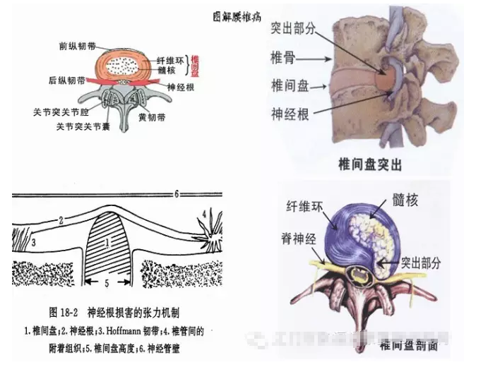 da589641c90048573277c2b5ef09b082_r.png