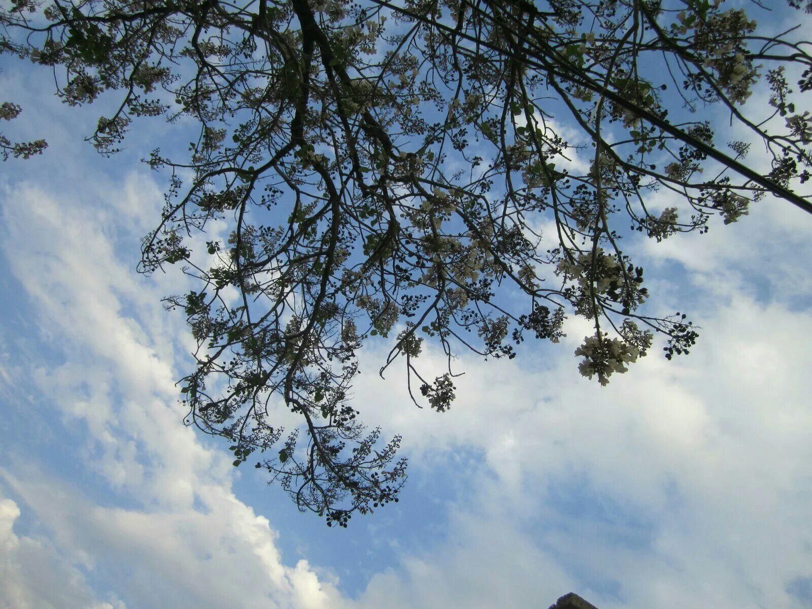 如何看待岩井俊二的电影《四月物语》?