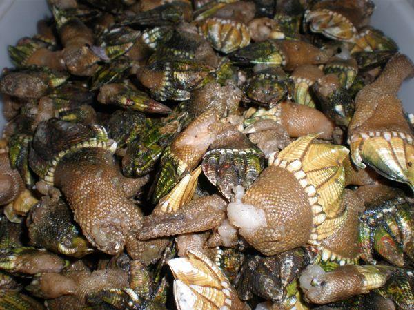 哪些东西买了之后,会让人因生活质量和幸福感提升而感觉相见恨晚?