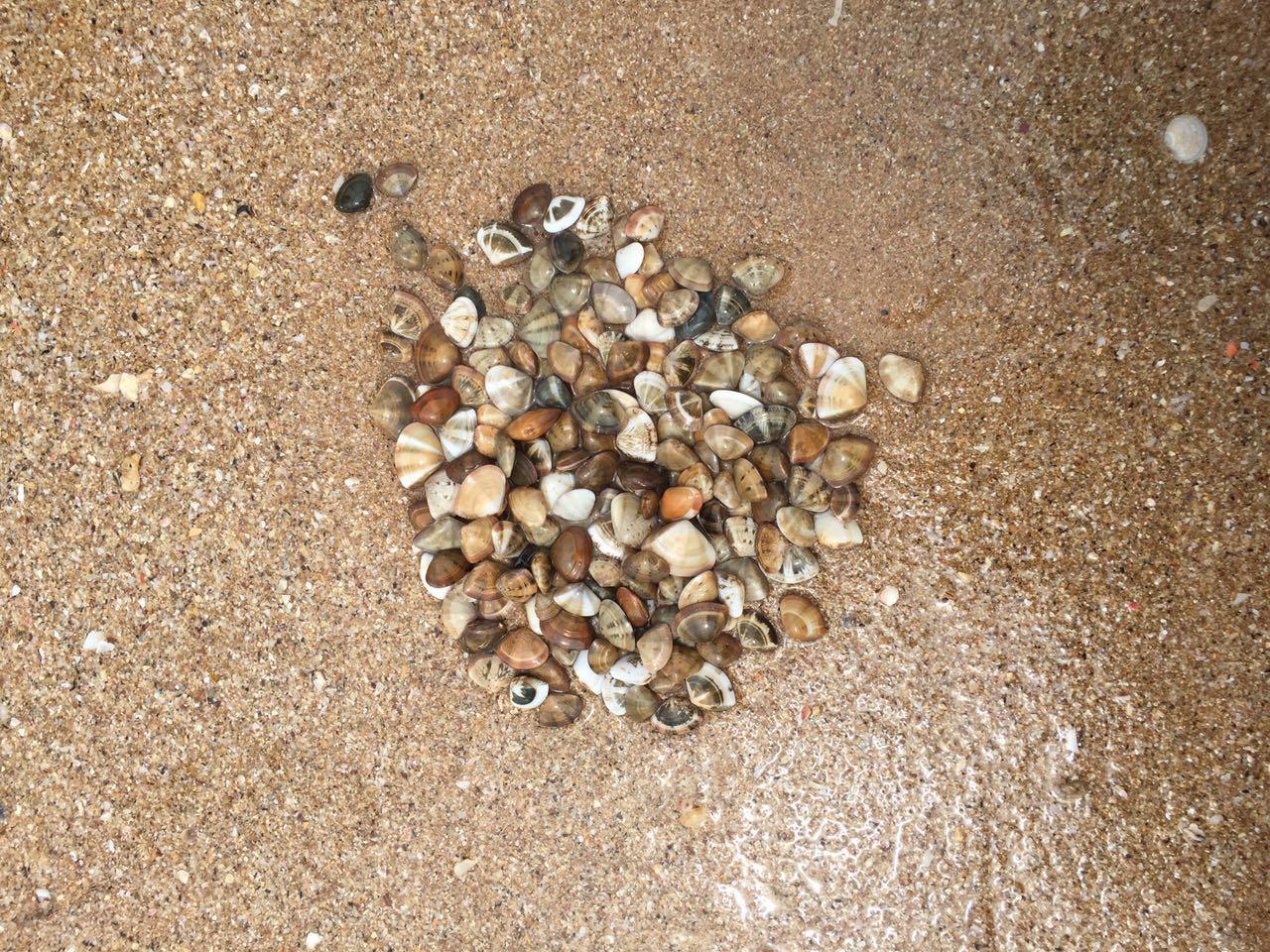 5 月部门组织旅游,有人建议去温州的南麂岛,有