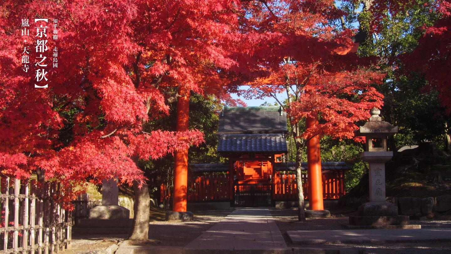 多图 京都之秋 知乎