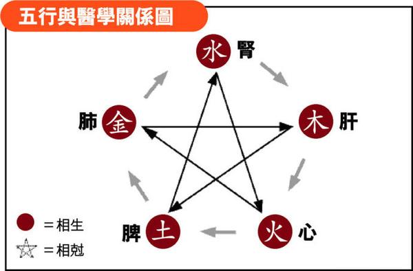五脏与五行 - 知乎