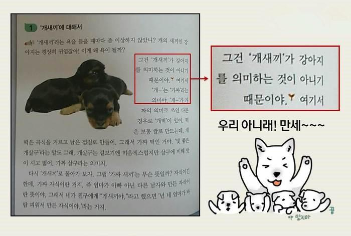 韩语中用来骂人的狗不是狗狗是私生子