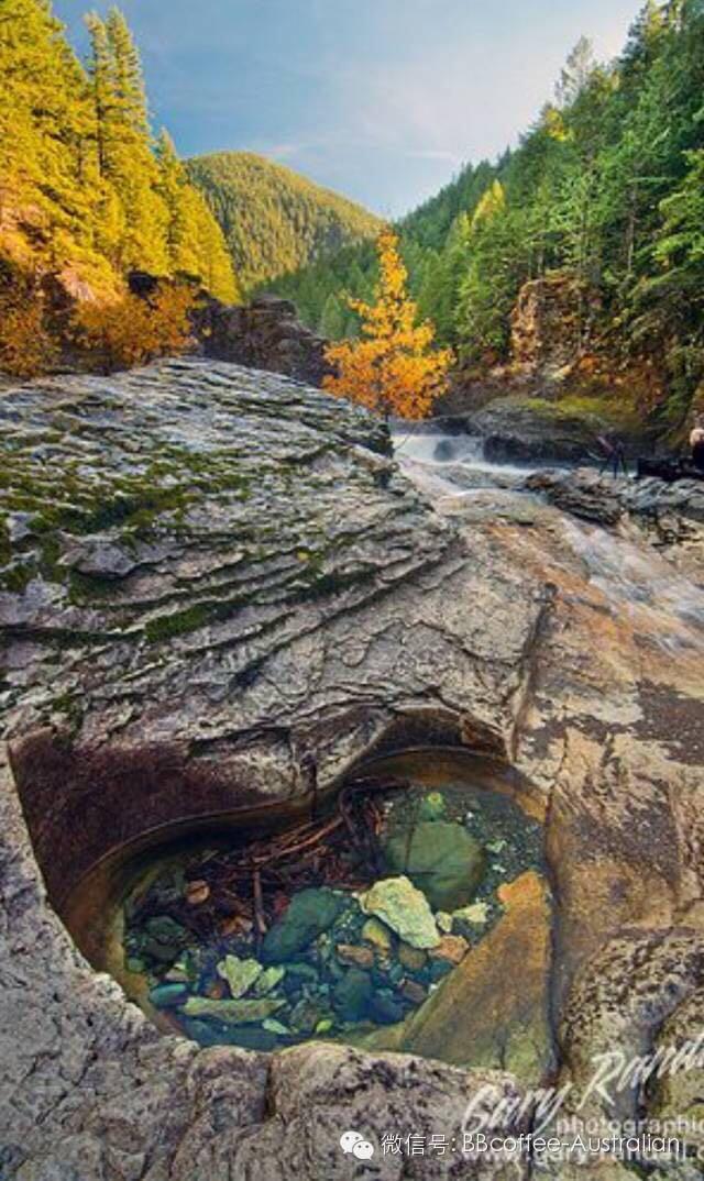 最好听的情话是什么? - Rainie 的回答 - 知乎