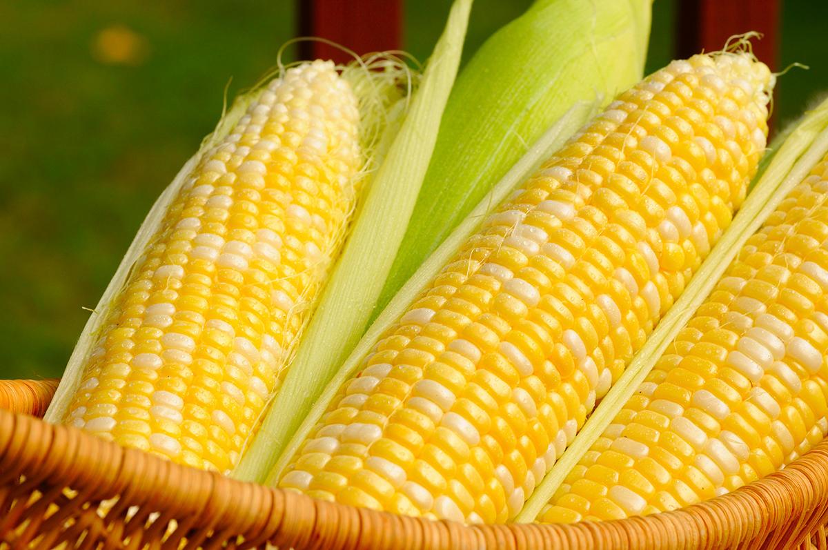 玉米炒肉教学视频 e41cfc0e5407350d655ab6a164d0b087_r.jpg