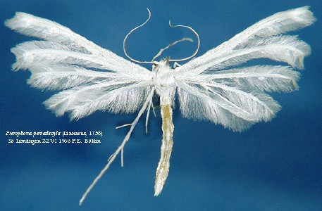 e5151b53fe45e1e1b602c7e0356cd355_r.jpg