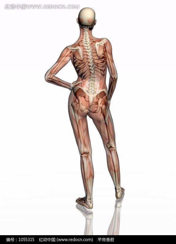 大腿骨外扩可以改善吗?