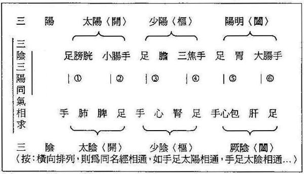 如何评价 脏腑别通 理论 知乎