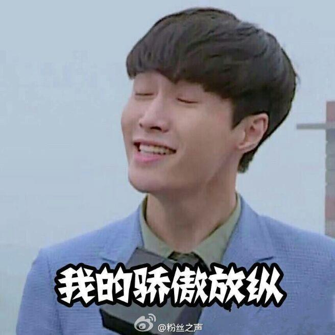 为什么有人觉得电视剧好先生里张艺兴演技爆表