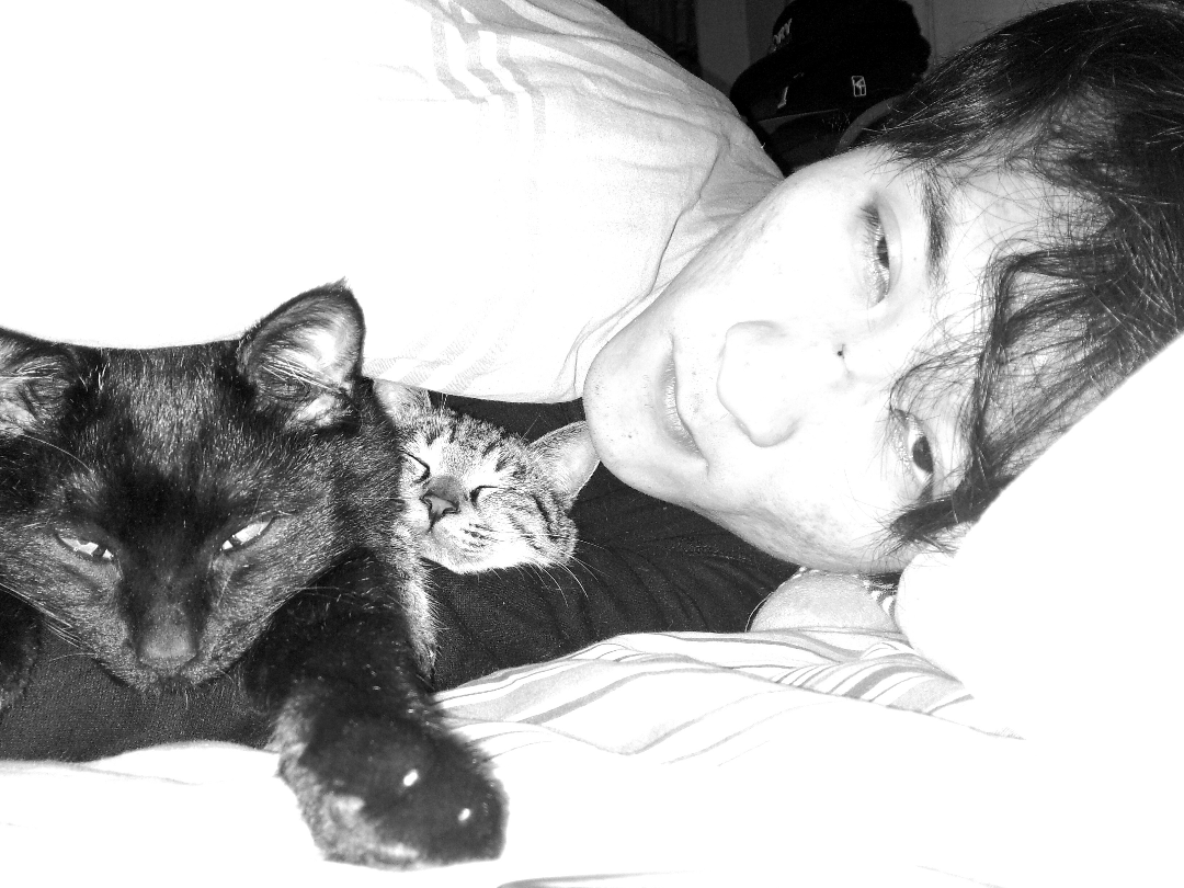 猫的呼噜声会有催眠作用吗? - 心理学 - 知乎