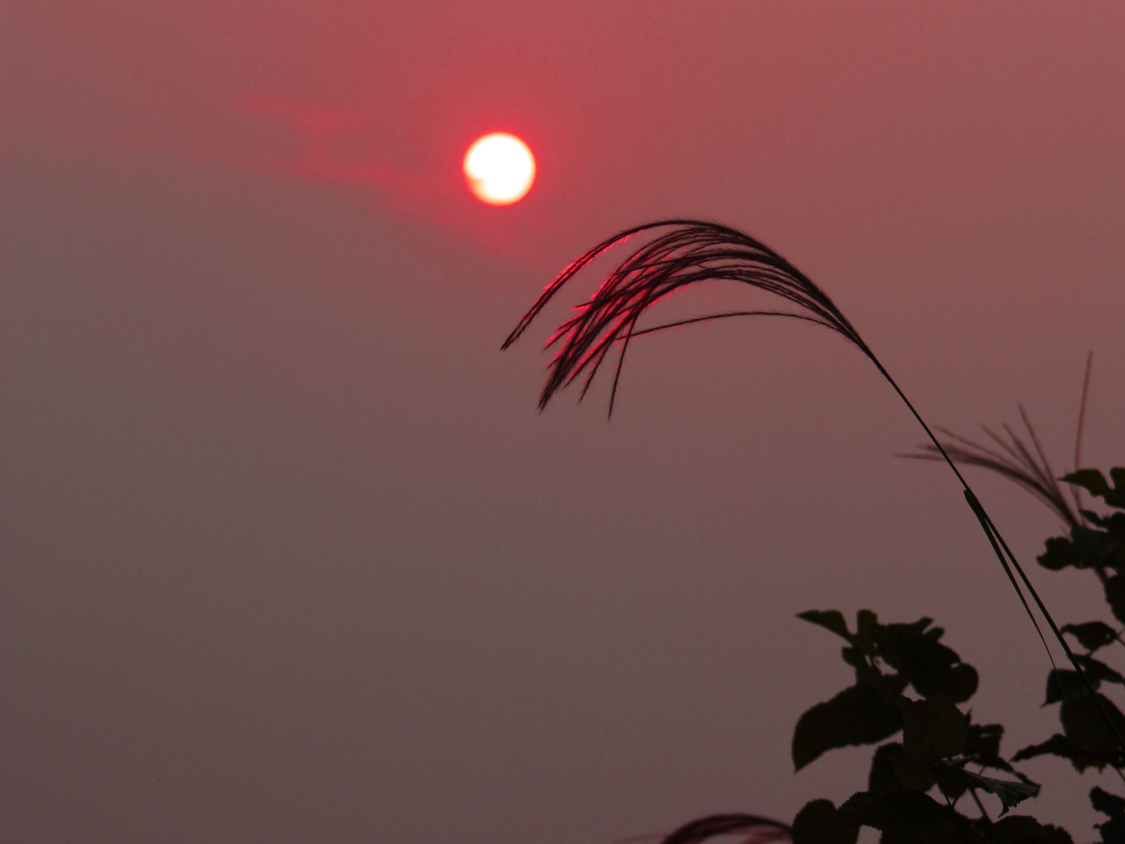 有哪些很美的夕阳照片?