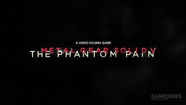 幻痛 the phantom pain
