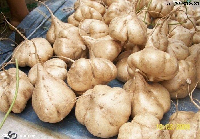 有哪些家乡很常见但外地没有的蔬菜呢? - 匿名