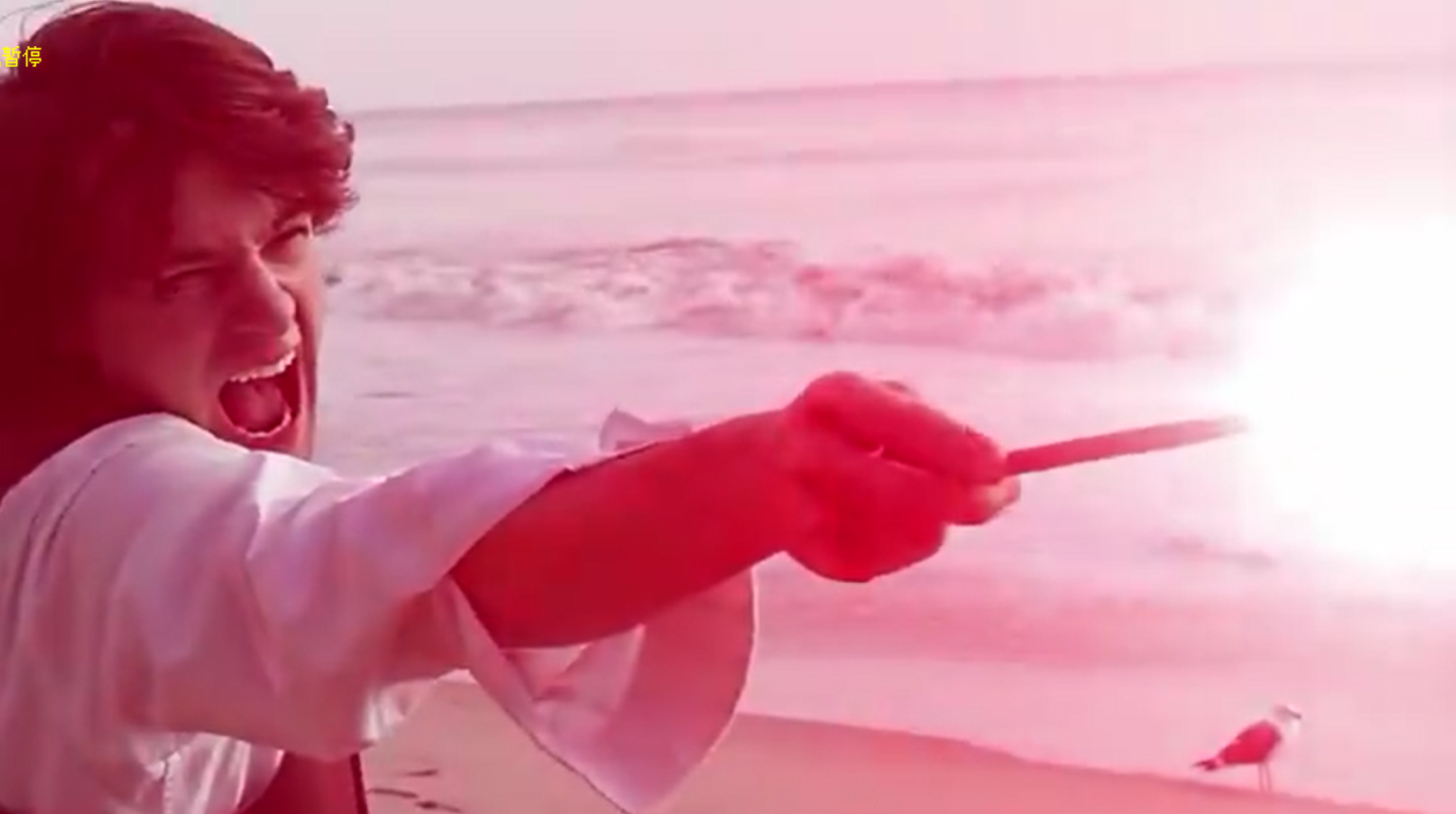 如何评价哈利波特同人电影《斯内普与掠夺者》