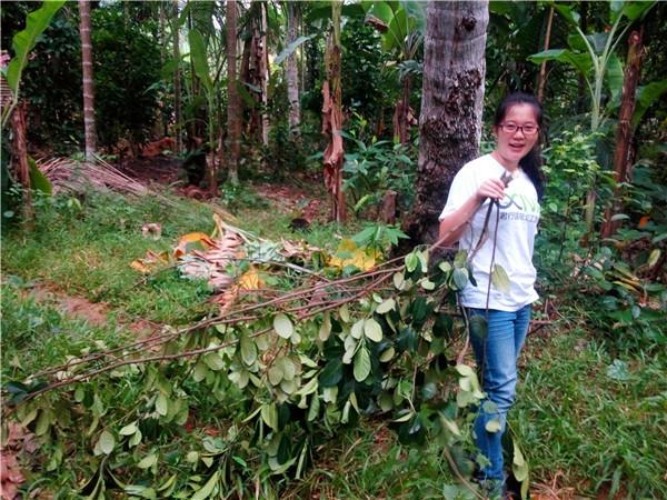 香港君行国际义工协会怎么样? - 国际义工 - 知