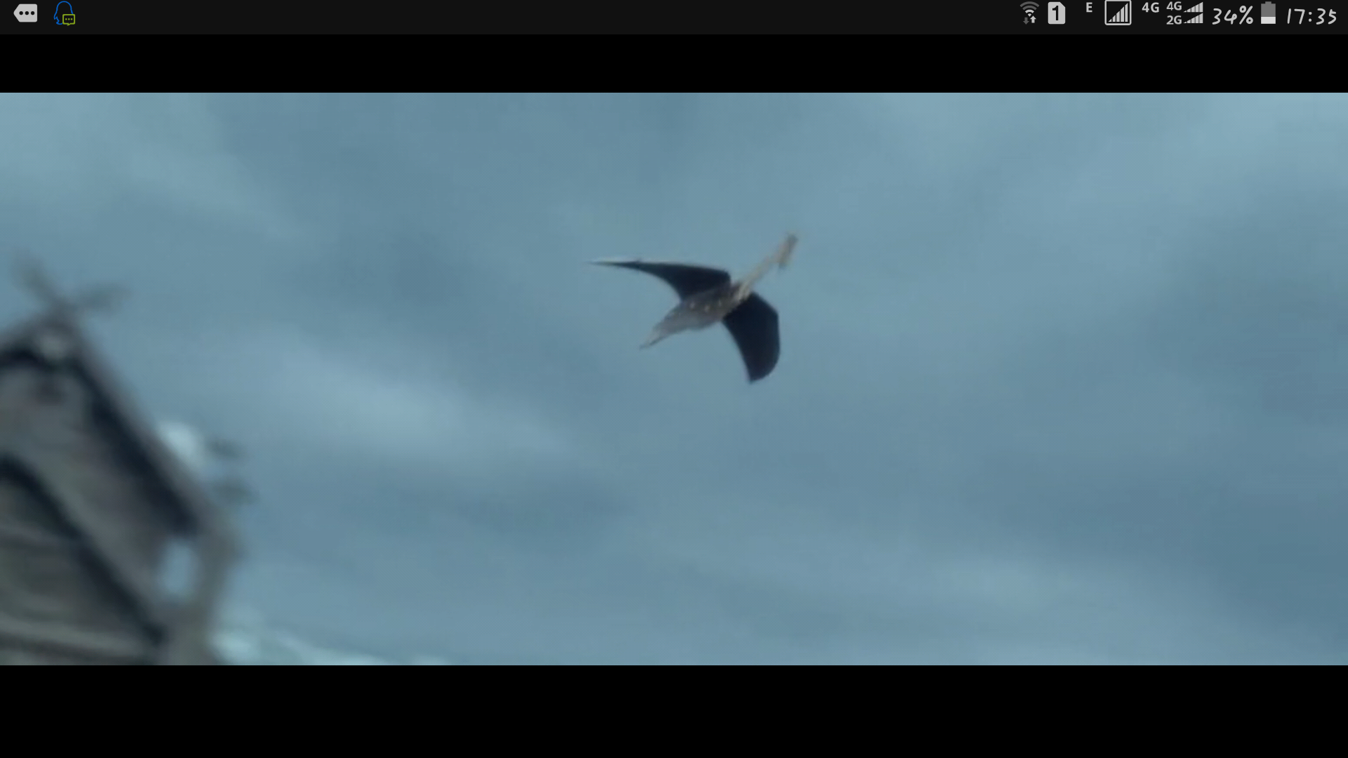 《他是龙》为什么突然这么火? - mr1997 的回答