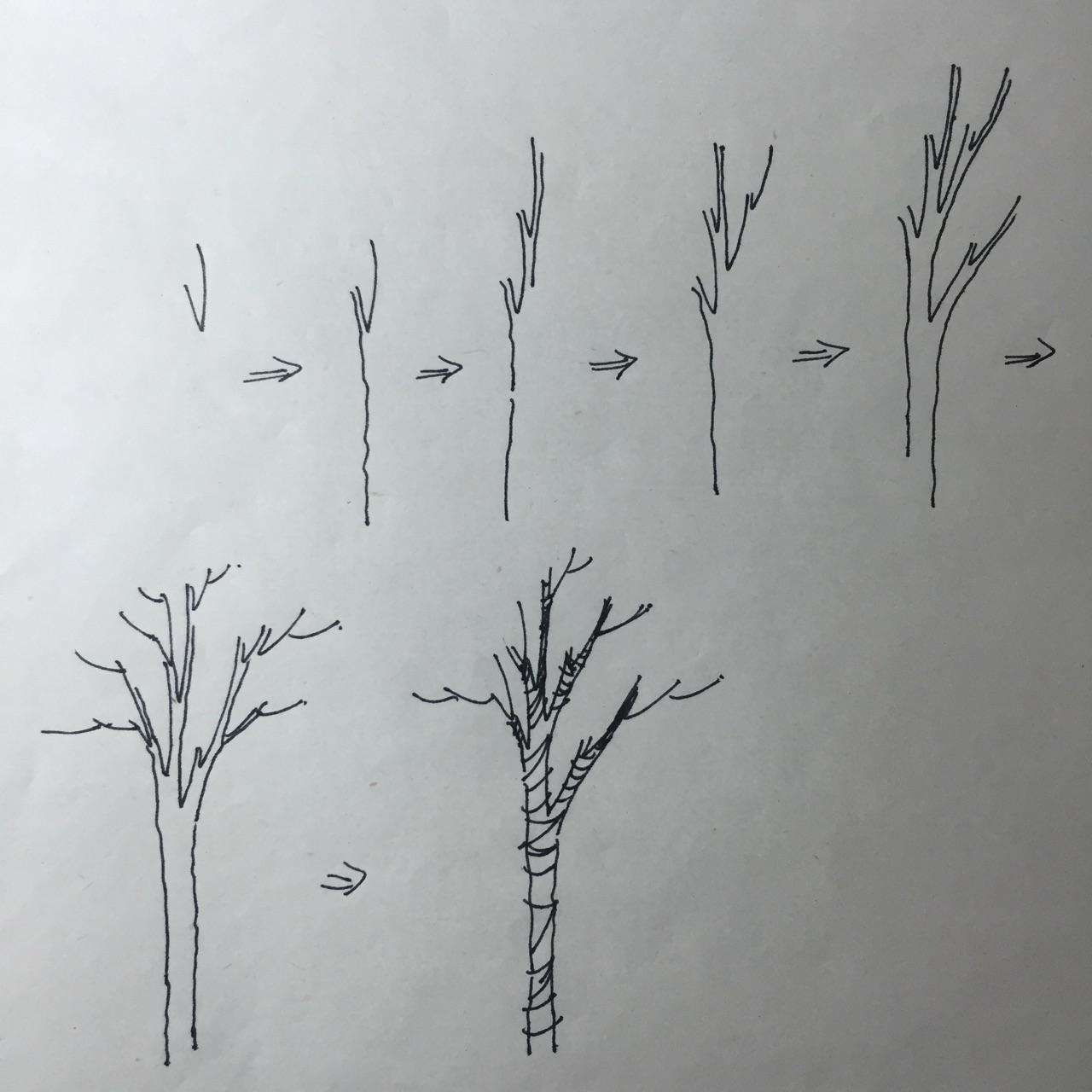 景观手绘中树怎么画比较好看? - 知乎