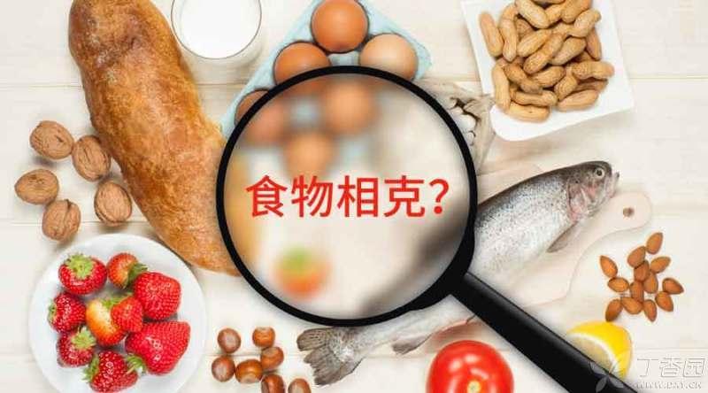 如何優雅地反駁那些食物相剋的說法