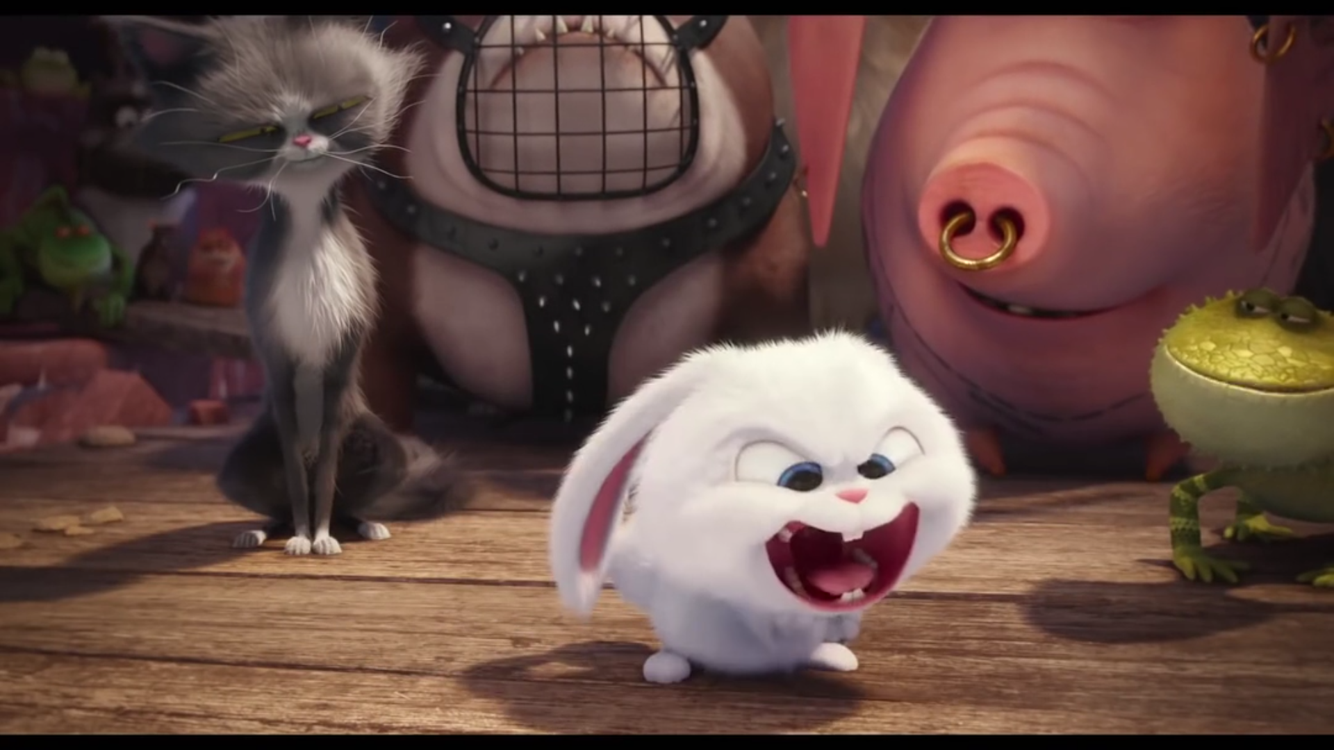 如何评价电影《爱宠大机密》(the secret life of pets)?