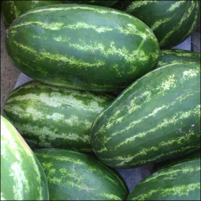 西瓜的花纹是怎样长成的?