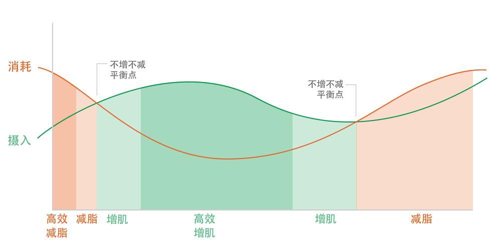 卓叔增重丨增重20斤肚腩也出來了怎麼辦