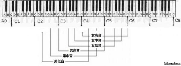 音高