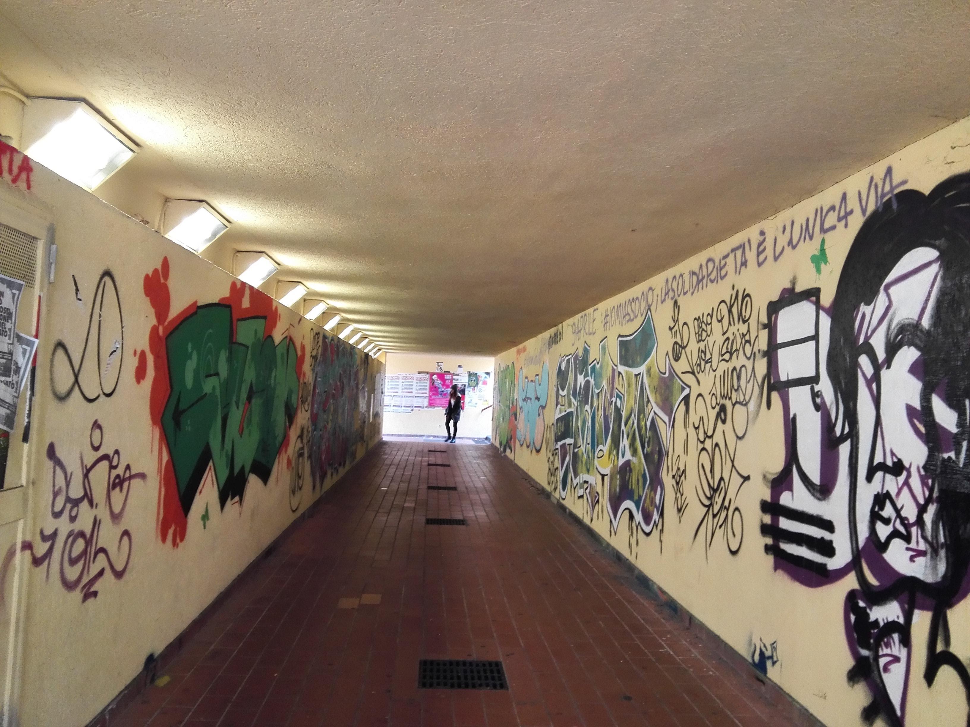 在佛罗伦萨大学就读是一种怎么样的体验?